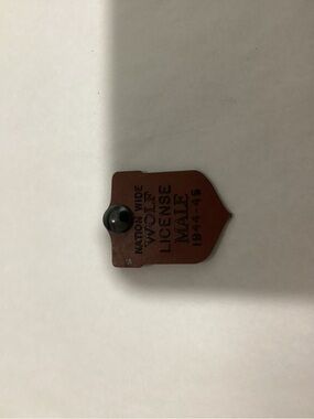 Vintage “Nation Wild Wolf License” novelty tag for a male. Dating from 1944-45